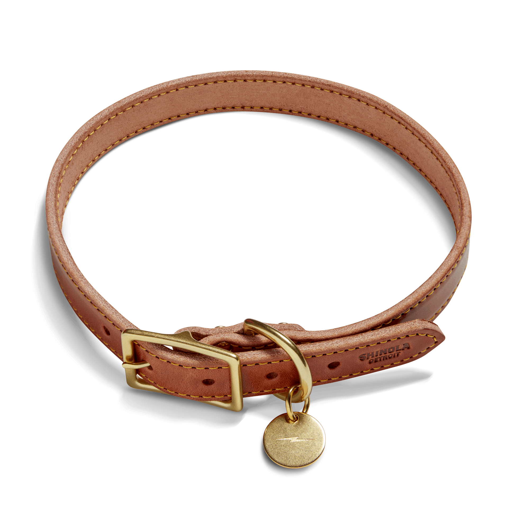 Shinola dog collar