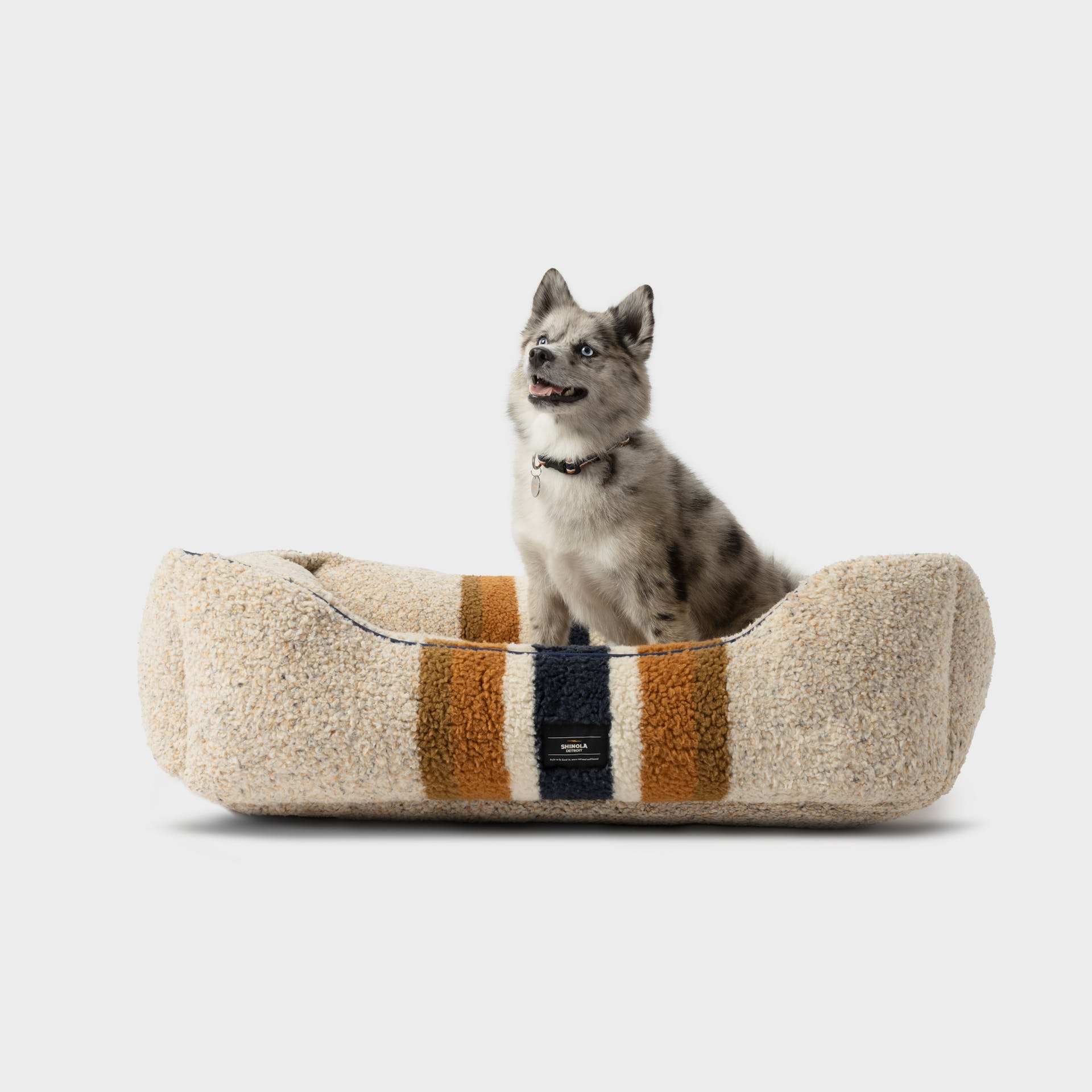 Alligator cat bed hot sale
