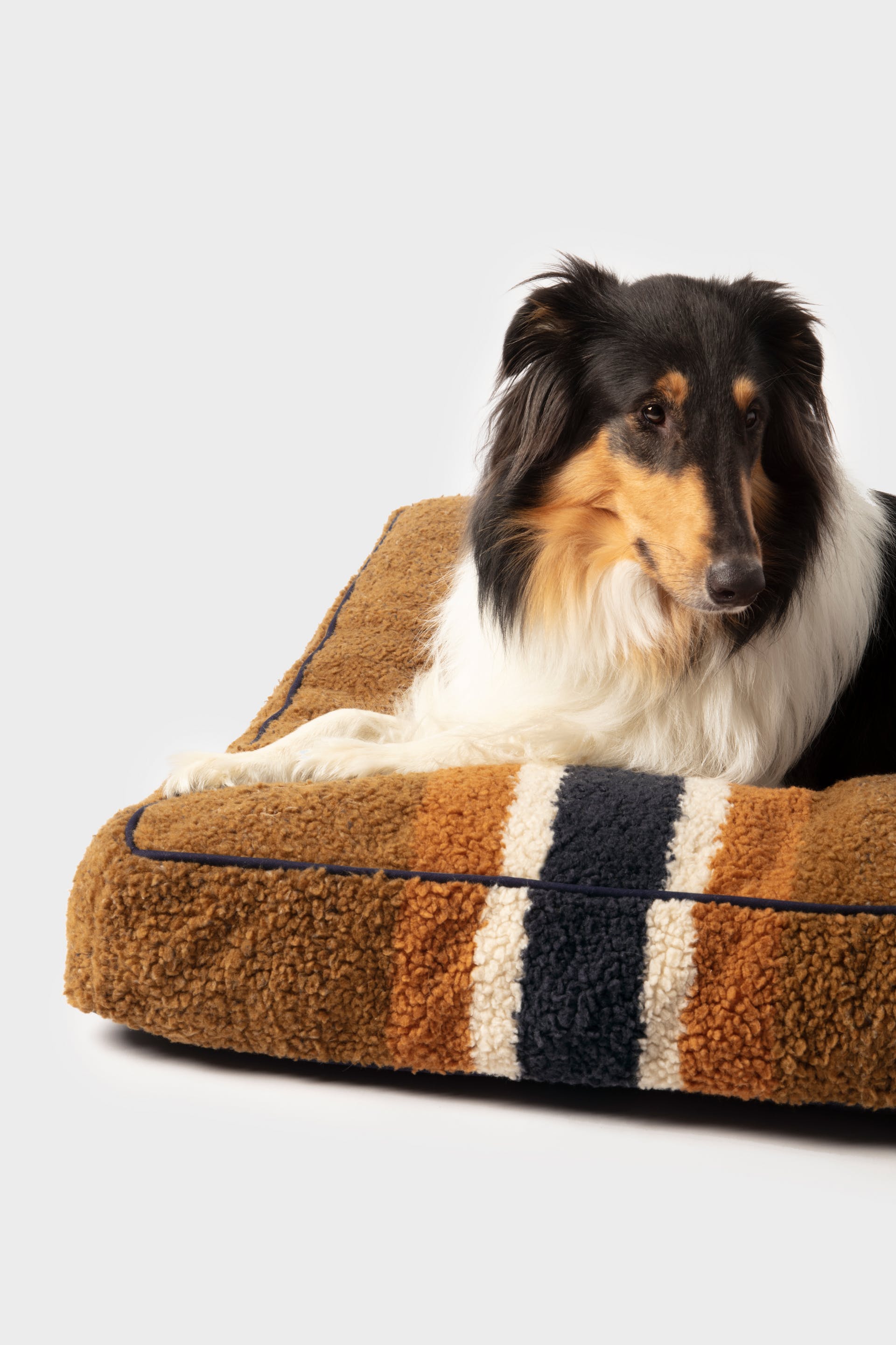 Aldi best sale dog blanket