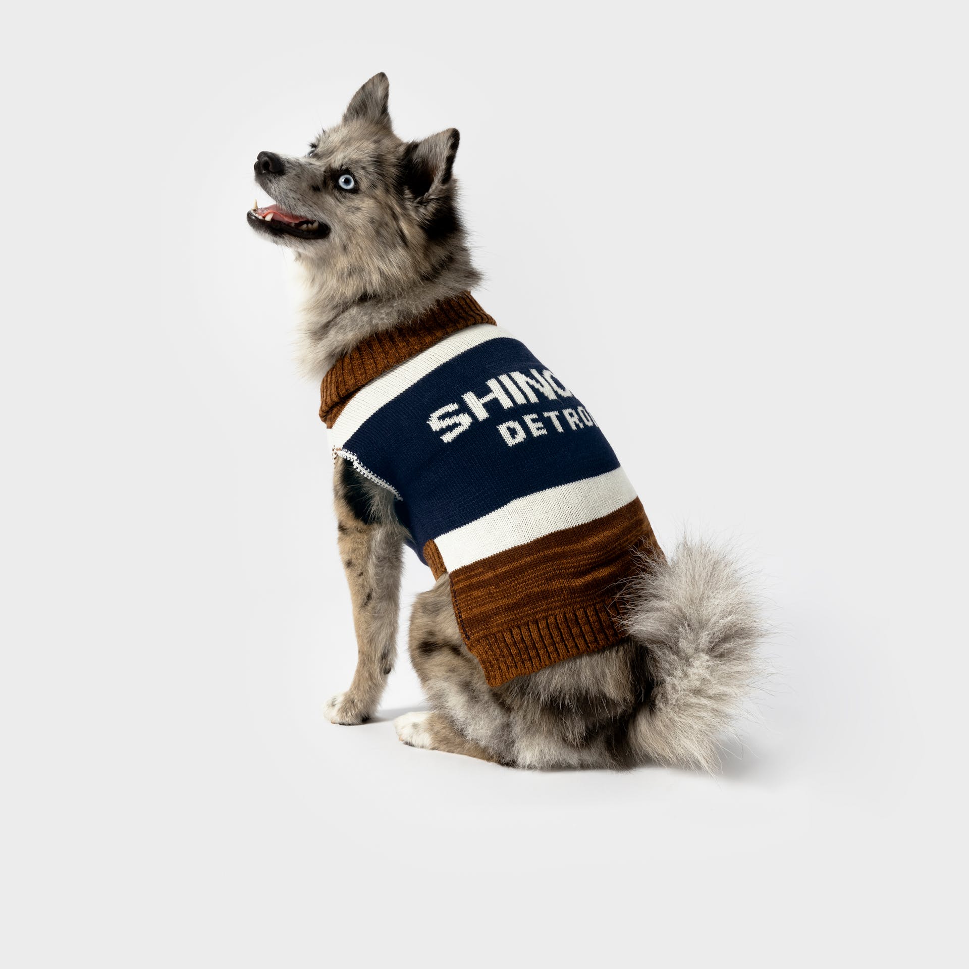 I miss my dog sweater shop