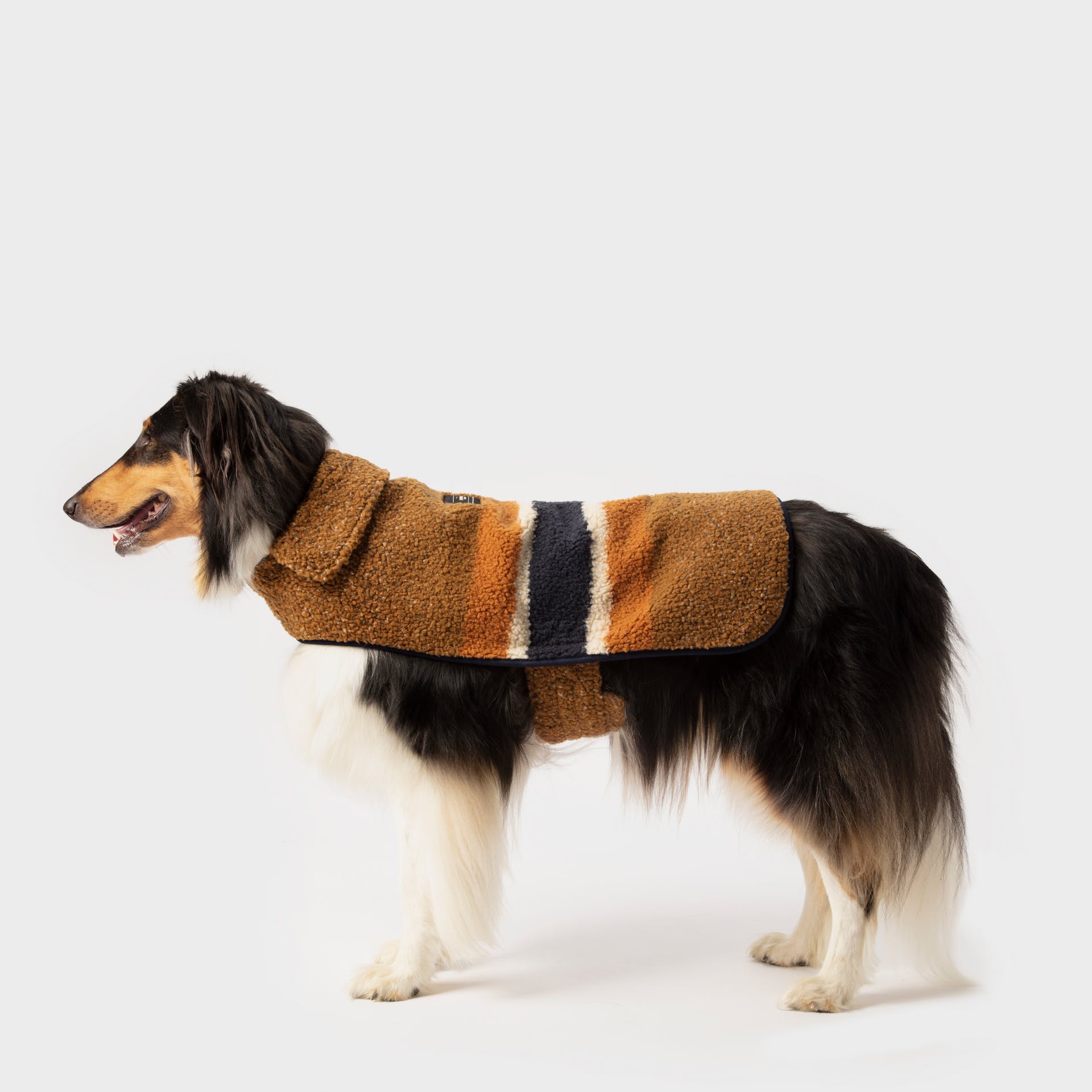 Shinola Pet Dog Coat Rust