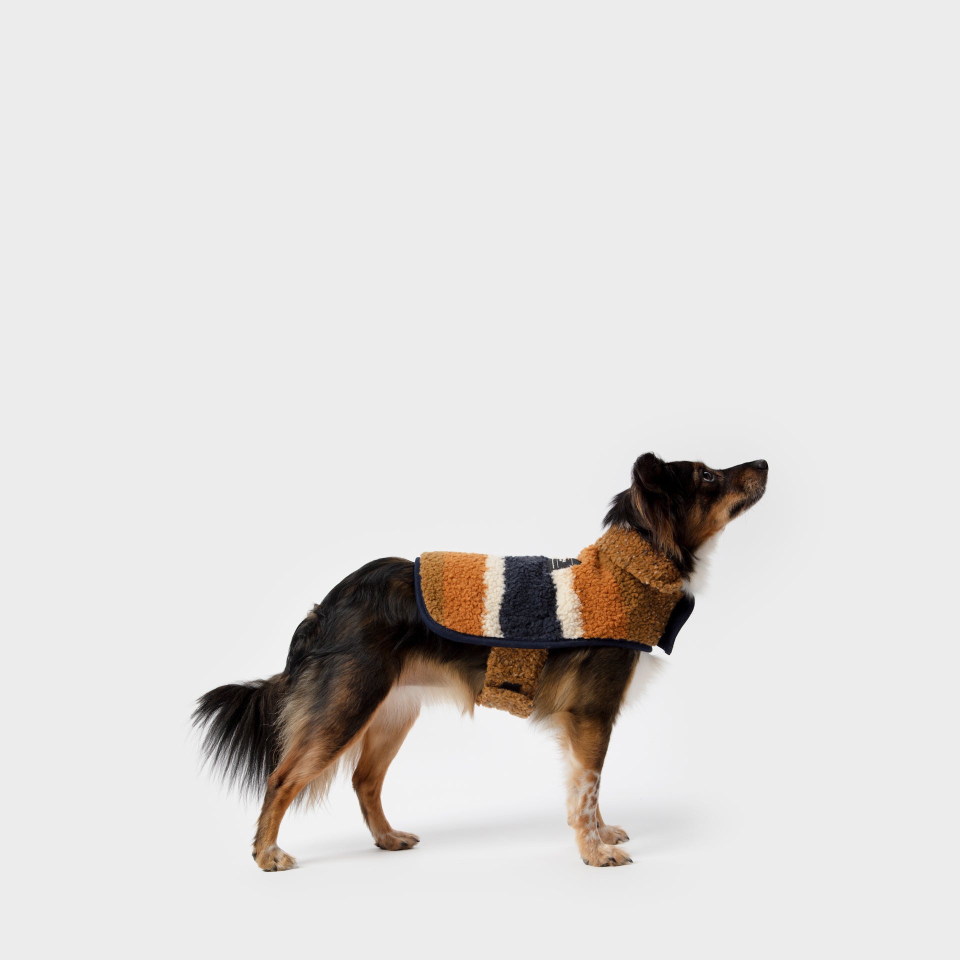 Shinola Pet Dog Coat Rust