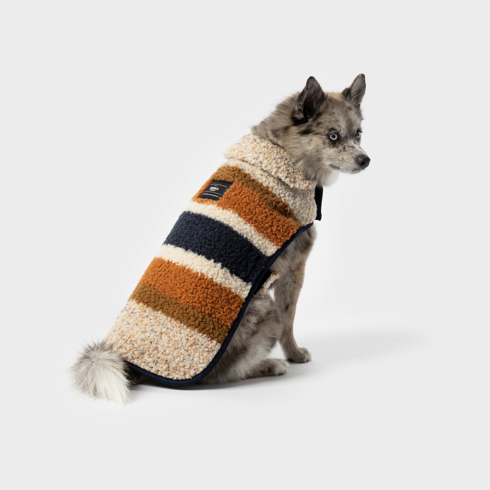 Shinola Pet Berber Coat Large Oatmeal